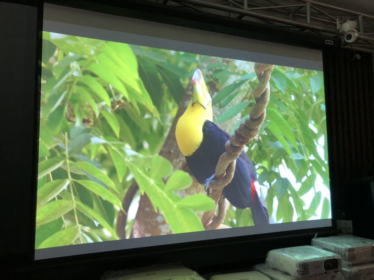 Máy chiếu Full HD EPSON EB-U32 (Like new 98%) - Ảnh 5