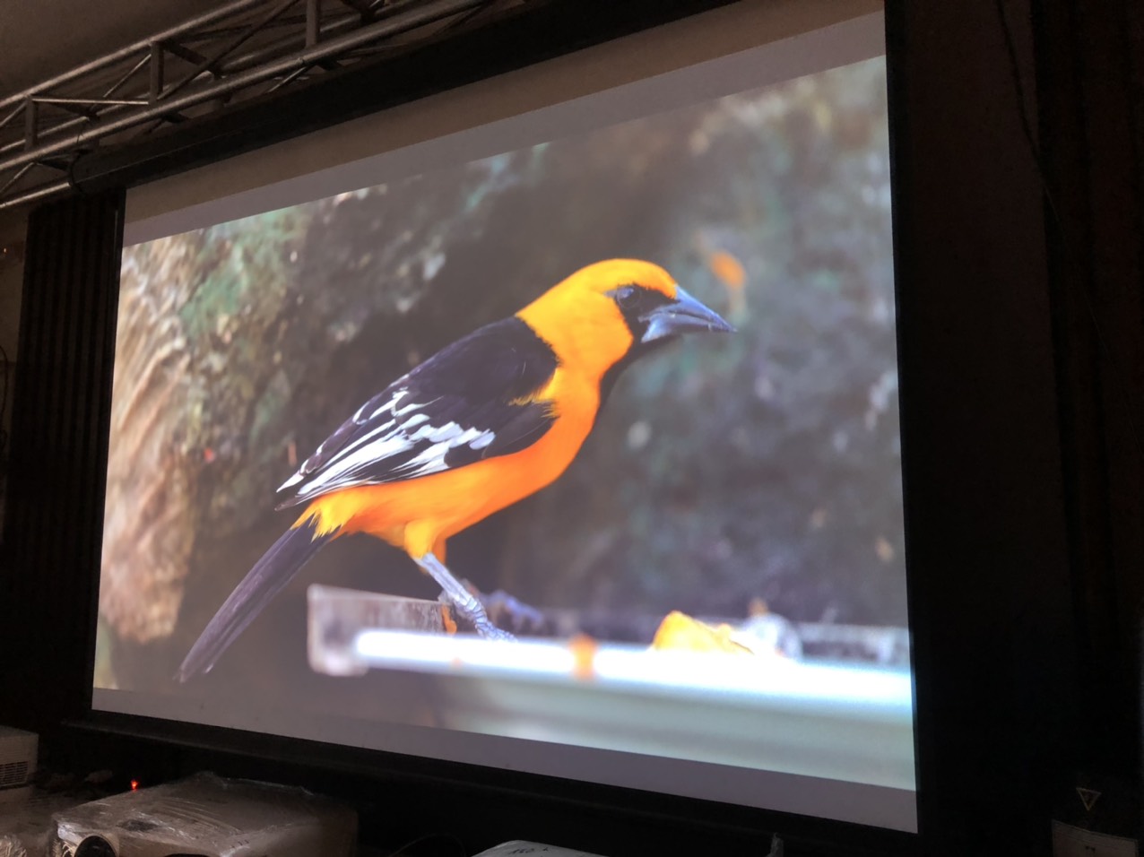 Máy chiếu Full HD EPSON EB-U32 (Like new 98%) - Ảnh 4