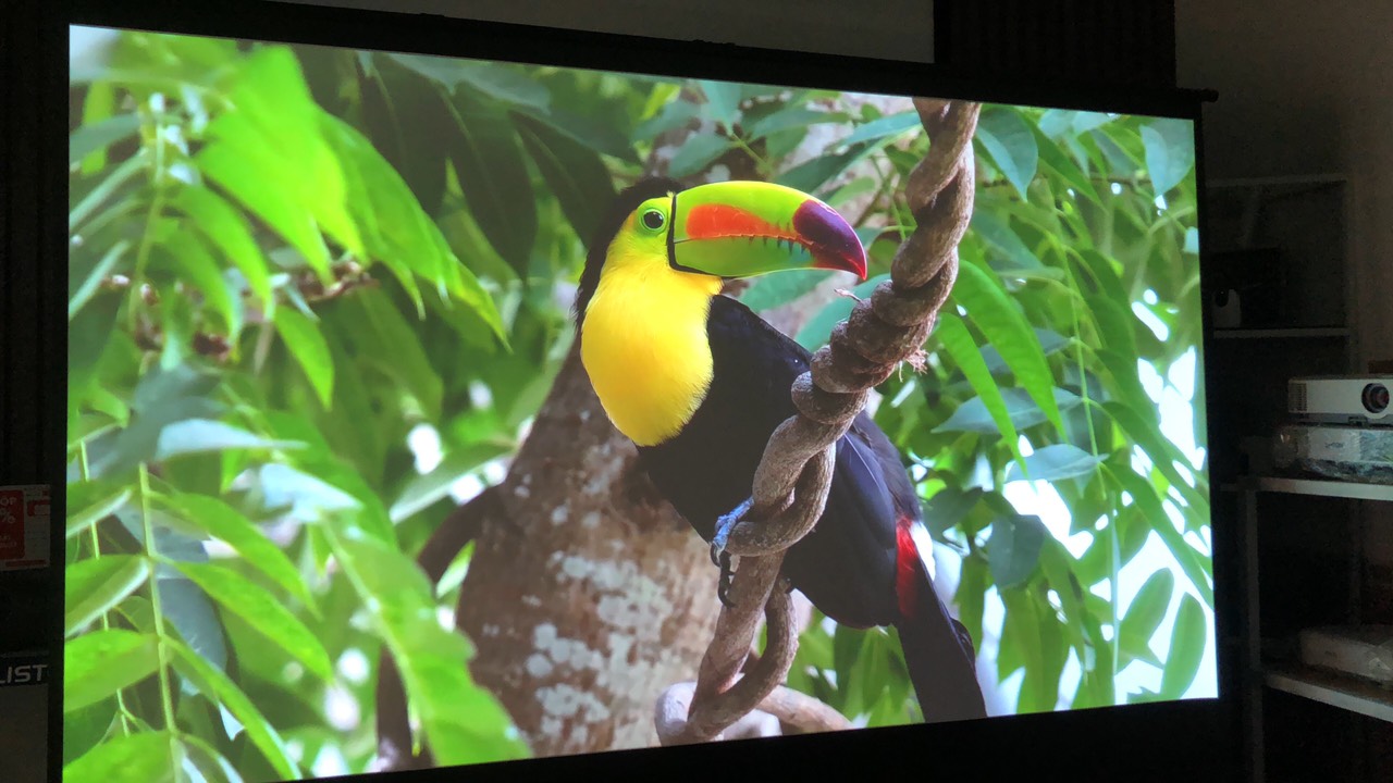 Máy chiếu thông minh XGIMI Horizon Pro 4K (like new) - Ảnh 3