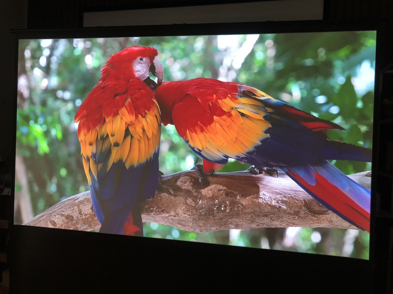Máy chiếu thông minh XGIMI Horizon Pro 4K (like new) - Ảnh 2