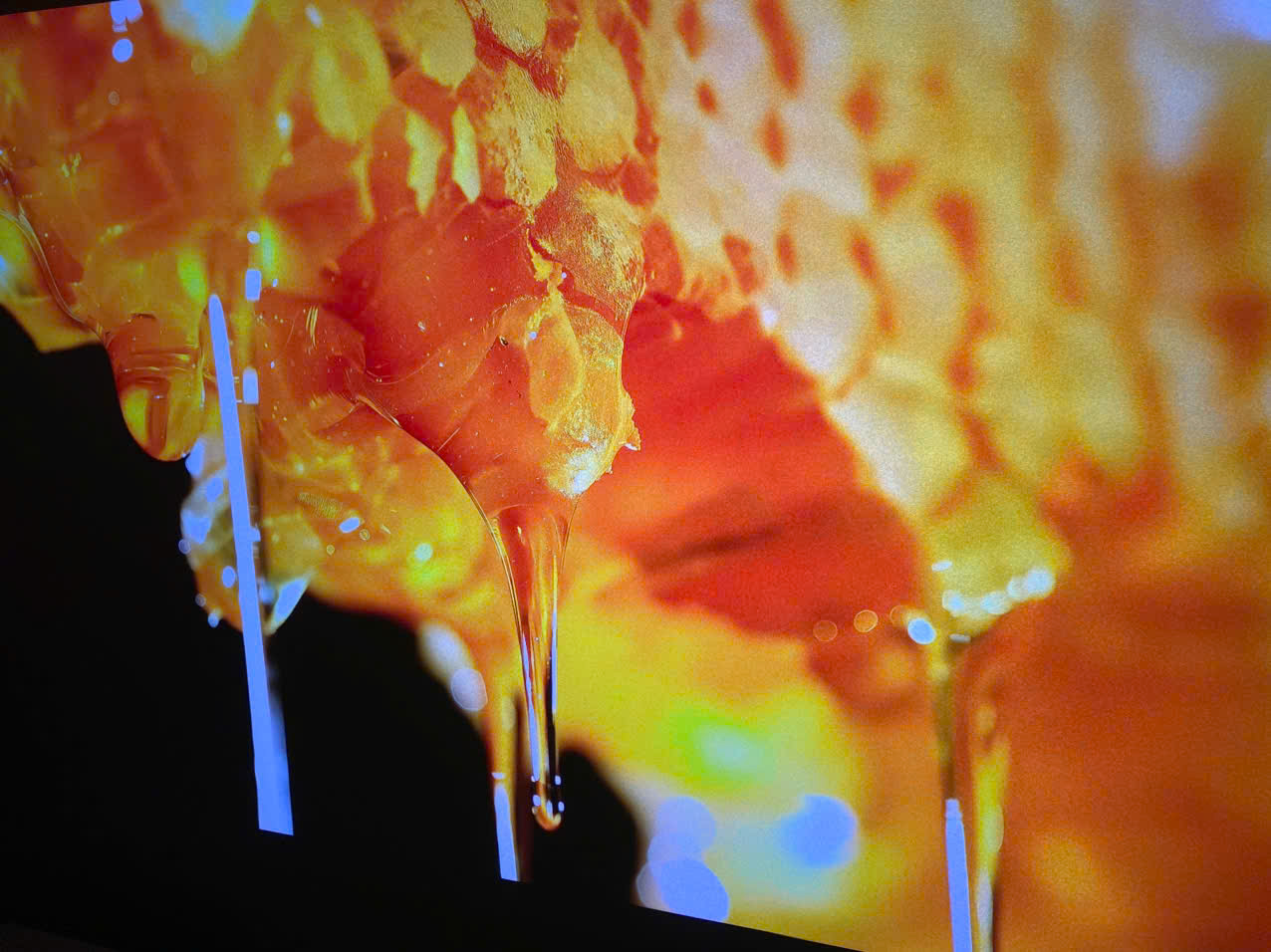 Máy chiếu XGIMI RS10 Plus - Ảnh 4